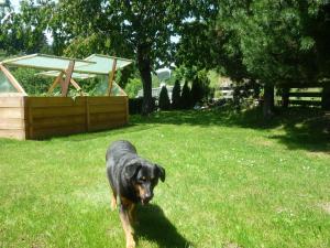 Appartement Lechthaler