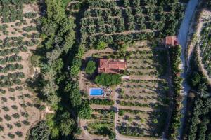 Cretan Stone built Villa Agapi