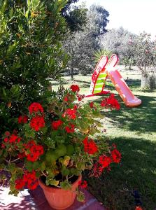 Casa Vacanza Gaia Relax Pula