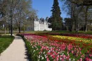 Hotels Logis Hotel du Cygne : photos des chambres