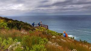 Misty Mountain Reserve