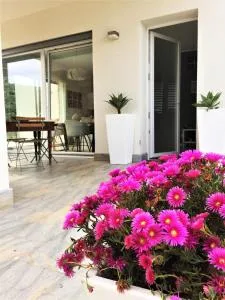 I due carrubi - Custonaci