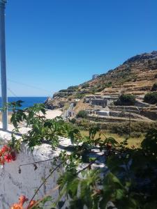 Iliana's courtyard Ikaria Greece