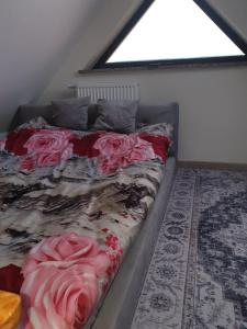 Apartament Szafran