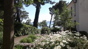 Villa Joška cottage apartment Brela