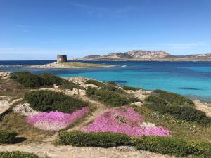 Residence Hotel La Pelosetta img35