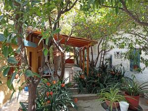 Aegina Town Lemon House Aegina Greece