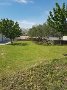 Apartments Andrea II