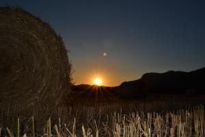 Saludi&Trigu - Rural Apartments img27