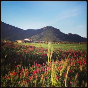 Saludi&Trigu - Rural Apartments img37