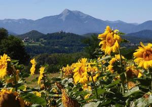 Maisons de vacances Pyrenees Passions - Gites de Charmes & Caractere : photos des chambres