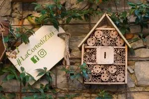 La Corte di Zizi - Cernobbio