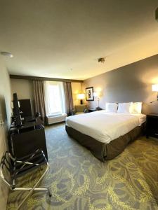 King Room - Disability Access room in Country Inn & Suites by Radisson, San Carlos, CA