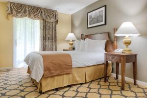 One-Bedroom Condo room in Club Wyndham Patriots Place