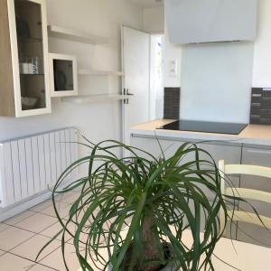 Maisons de vacances COTTAGE 6 pers vue sur mer piscine : photos des chambres
