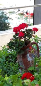 Center town apartment Lipa Mala