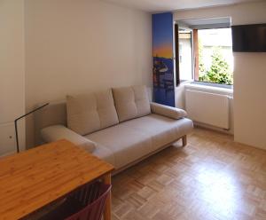 Convenient and Functional Apartment in the Center