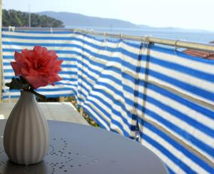 Apartment 2 room in Apartments Davor - 20m from sea
