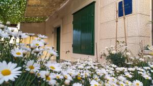 Garden apartment with a View