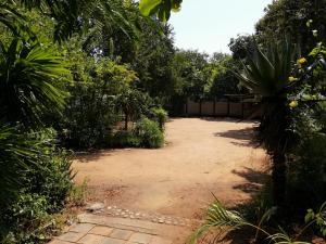 Elephant Walk Guesthouse and Back Packers