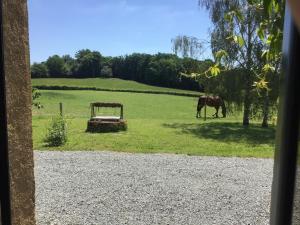 Maisons de vacances Retour aux Sources : photos des chambres