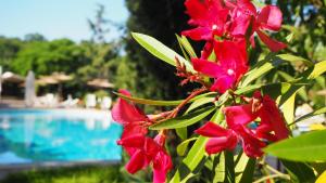 Joya Park Apartments