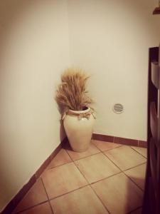 Pian di Rocca Country