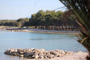 Apartment Povljana 1