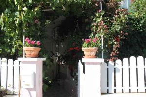 Apartment Povljana 1