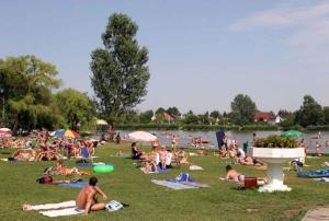 Apartment in Siofok - Balaton 19745