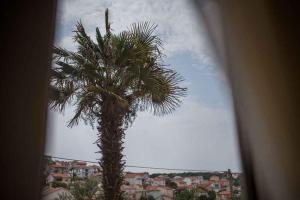 Apartment Vrbnik 1 