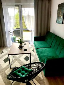 Apartament na Skrzypka