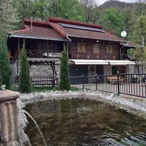 Cabana FARIO Rau Mare - Retezat - 萨尔米泽杰图萨