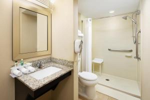 King Room - Disability Access/Non-Smoking room in Holiday Inn Express & Suites Alpharetta an IHG Hotel