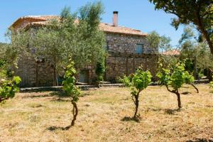 Splendid stone house with vineyard close to Pylos Messinia Greece