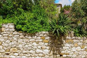 Splendid stone house with vineyard close to Pylos Messinia Greece
