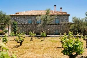 Splendid stone house with vineyard close to Pylos Messinia Greece