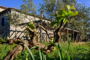 Splendid stone house with vineyard close to Pylos Messinia Greece