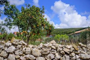 Splendid stone house with vineyard close to Pylos Messinia Greece