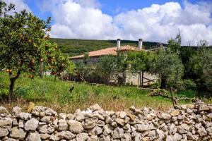 Splendid stone house with vineyard close to Pylos Messinia Greece