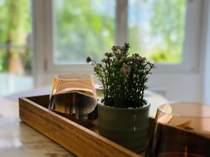 Casa Sibylle studio - piccolo paradiso