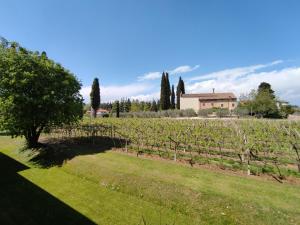 Standard Double Room room in Agriturismo La Vigna