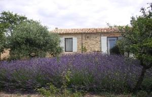 Maisons d'hotes Le Jardin d'Adam : photos des chambres