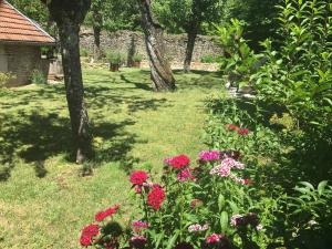 Les rêves de Bourgogne photo 6