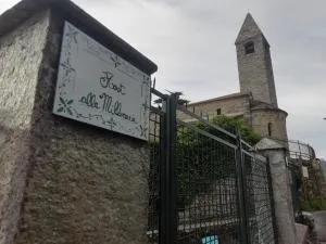 Host alla Millenaria - Boschetto