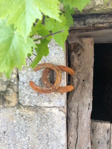 Maisons de vacances Les fontanelles du quercy blanc : photos des chambres