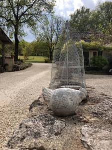 Maisons de vacances Les fontanelles du quercy blanc : photos des chambres