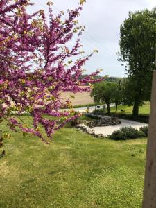 Maisons de vacances Les fontanelles du quercy blanc : photos des chambres