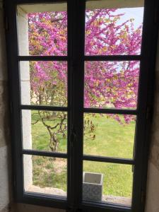 Maisons de vacances Les fontanelles du quercy blanc : photos des chambres