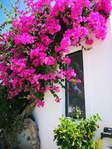 Ilios and Irene Kos Greece